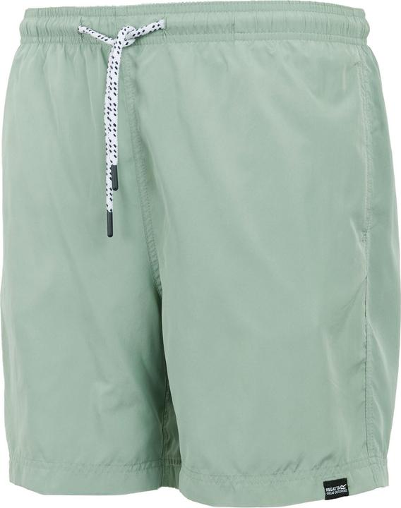 Actual product image Regatta Mens Mackleyna Swim Shorts (L)