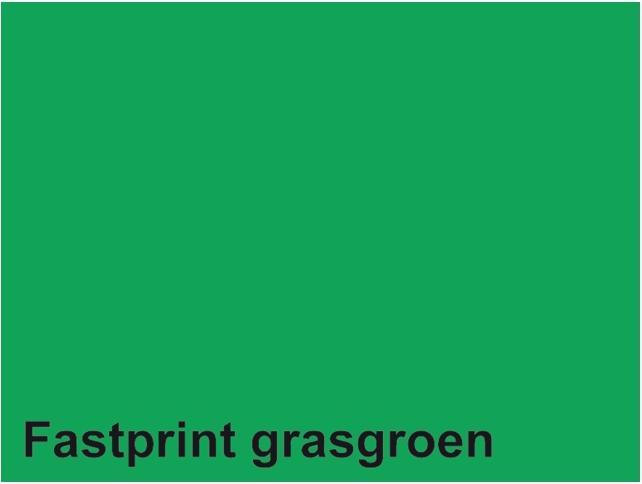 Actual product image Quantore Kopierpapier Fastprint A4 160gr grasgrün 50 Blatt