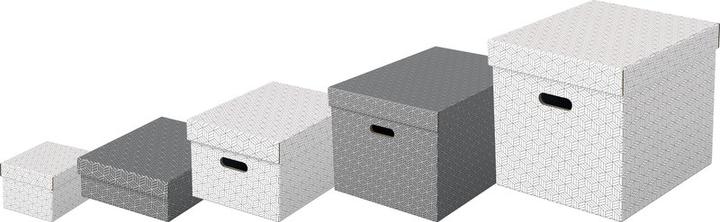 Image du produit Leitz Accueil Esselte (A4)