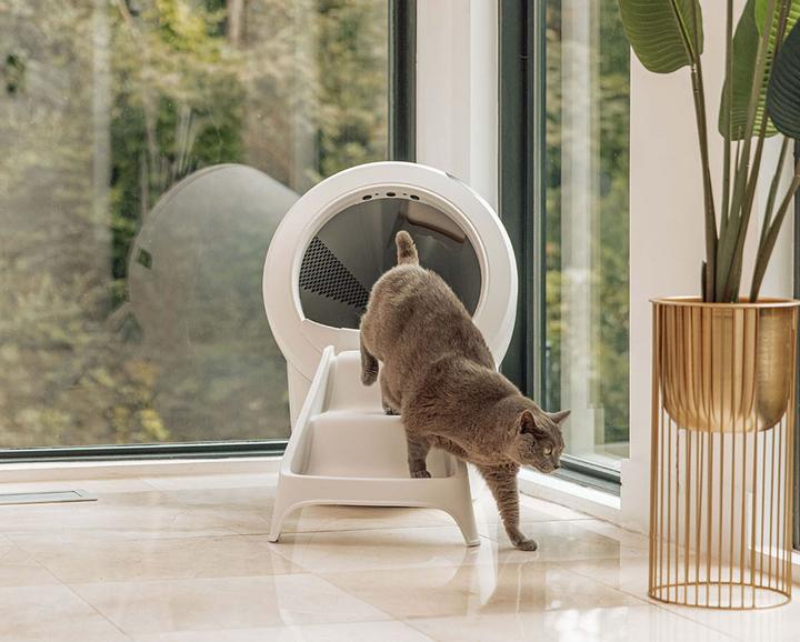Immagine prodotto Litter-Robot 4 Rampa, bianca