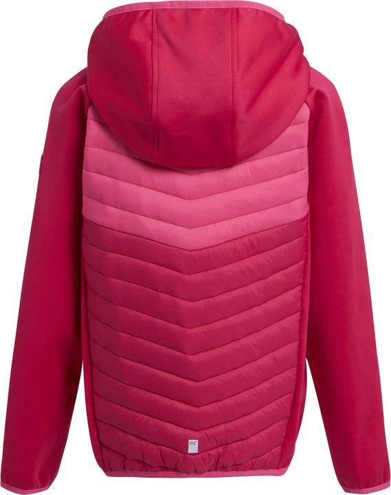 Actual product image Regatta Childrens/Kids Kielder VIII Hybrid Jacket (104)