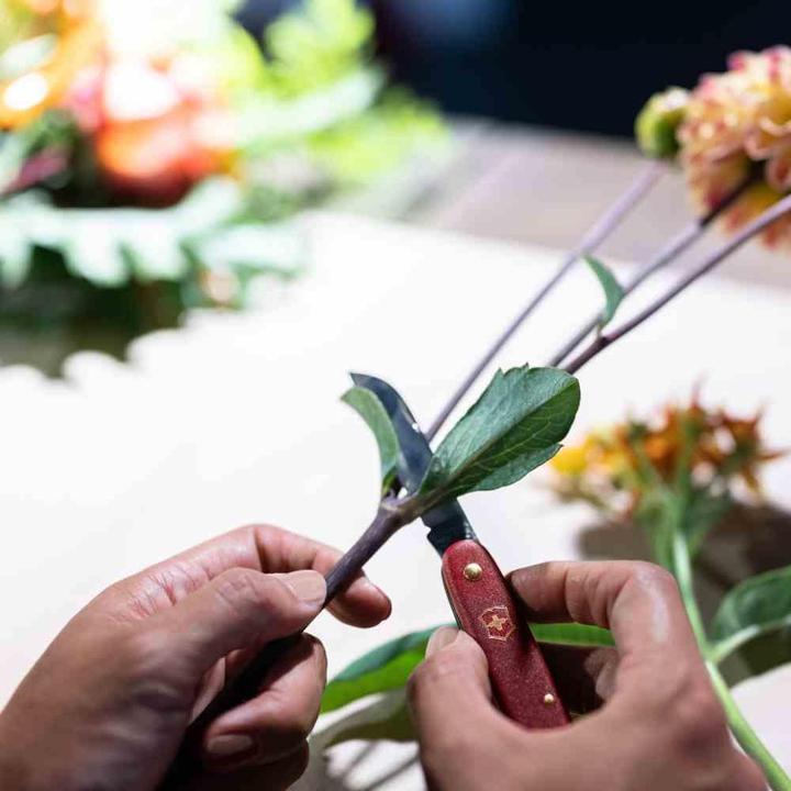 Immagine prodotto Victorinox Coltello da fiori (5.50 cm)