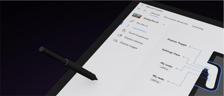 Immagine prodotto Wacom Cintiq Pro 22 (22", 5080 lpi)