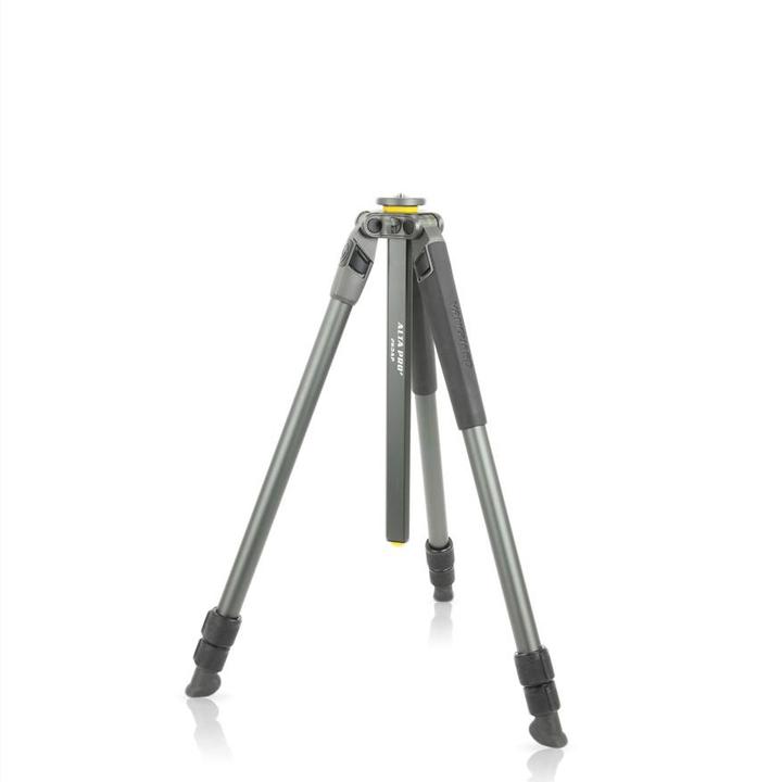 Produktbild Vanguard Alta Pro 2+ 263CB 100 (Carbon)