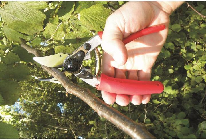 Produktbild Felco Gartenschere 12
