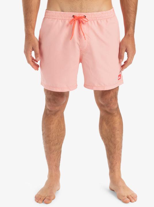 Produktbild Quiksilver Everyday Deluxe Volley 15 (L)