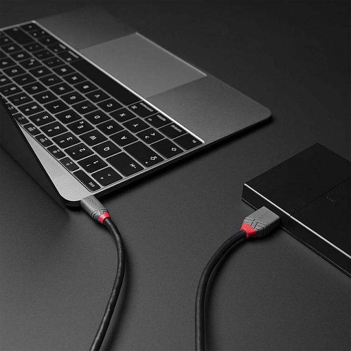 Actual product image Lindy USB 3.2 Type C to Micro-B Cable, Anthra Line (2 m)