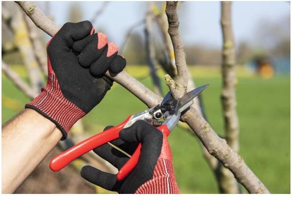 Produktbild Felco Gartenhandschuh (M)