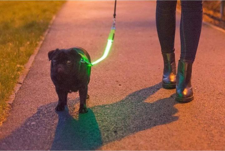 Image du produit Ancol Vêtements de signalisation en laisse pour chiens (1, Chien)