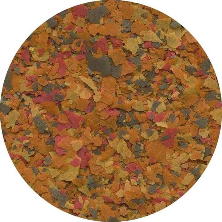 Image du produit Tetra rubis (Poisson rouge, Disques, Poisson-chat, Cichlidés, Poisson labyrinthe, Porteurs vivants, 10000 ml)