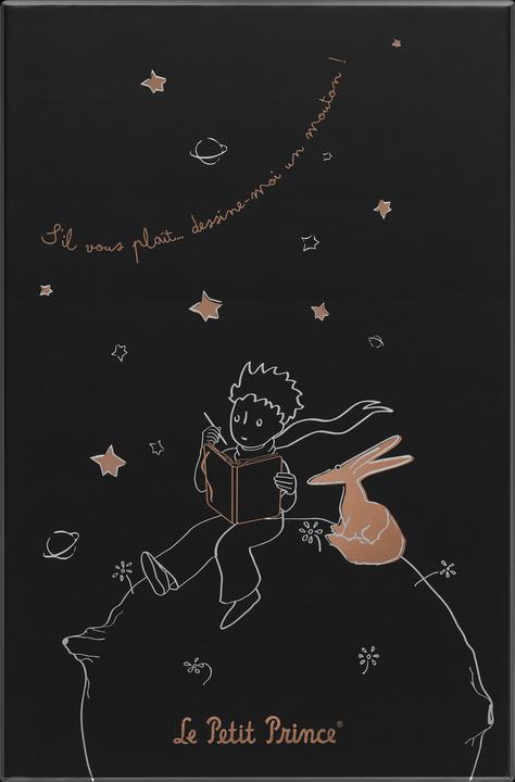 Actual product image Moleskine The Little Prince (130 x 210 mm, Lined, Hardcover)