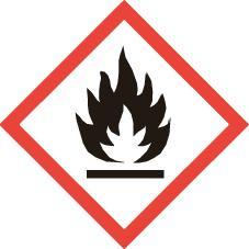 Actual product image Gloria Haus und Garten Thermoflamm bio Professional Plus