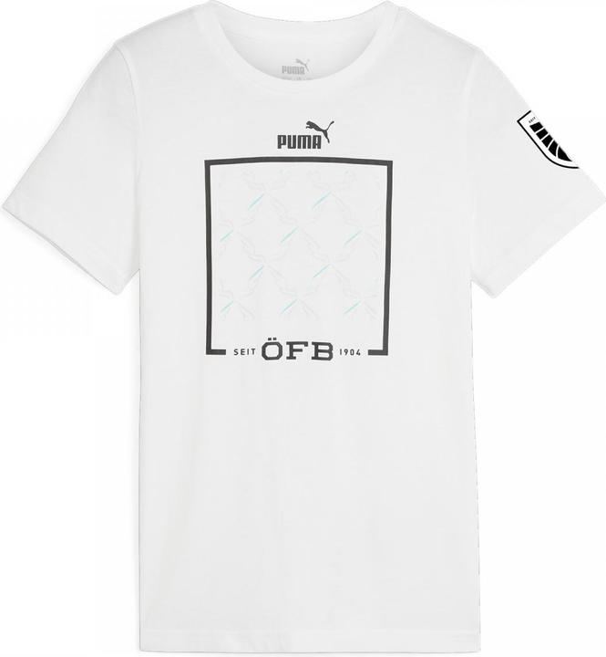 Actual product image Puma ÖFB Ftblicons Tee Jr (164)