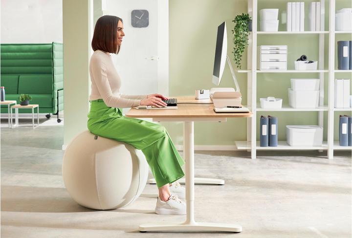 Produktbild Leitz Ergo Active Sitzball (65 cm)