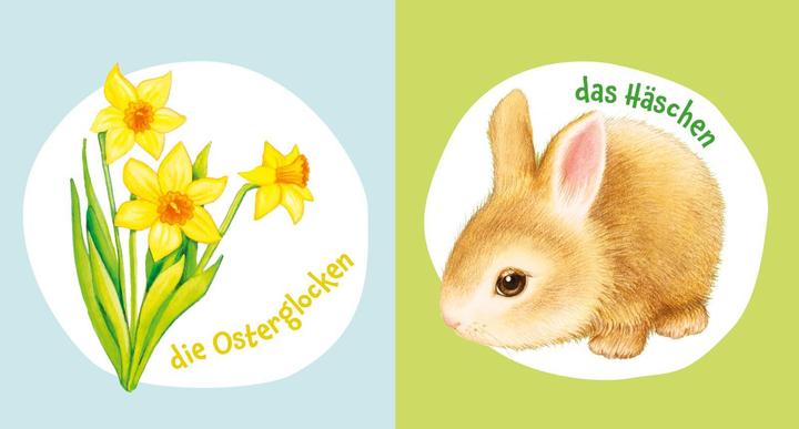 Produktbild Baby Pixi (unkaputtbar) 147: Mein liebstes Frühlingsbuch (Deutsch)