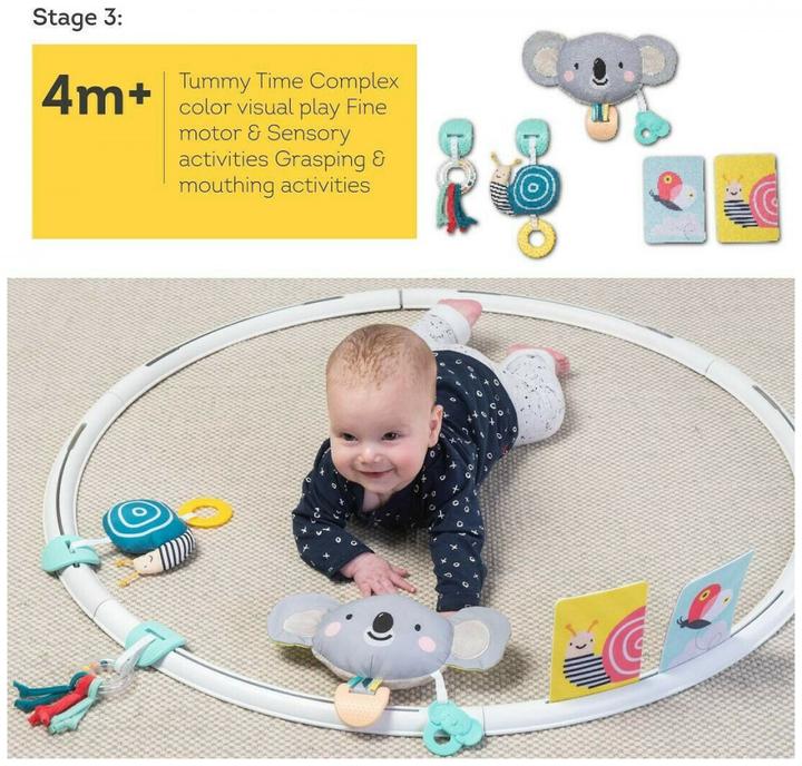 Actual product image Taf Toys Activities Hoop All Around Me
