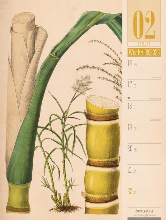 Immagine prodotto Culinarium - Küche, Kräuter, Kurioses - Vintage Wochenplaner Kalender 2026 (25 x 33 cm, Copertina rigida, Tedesco)
