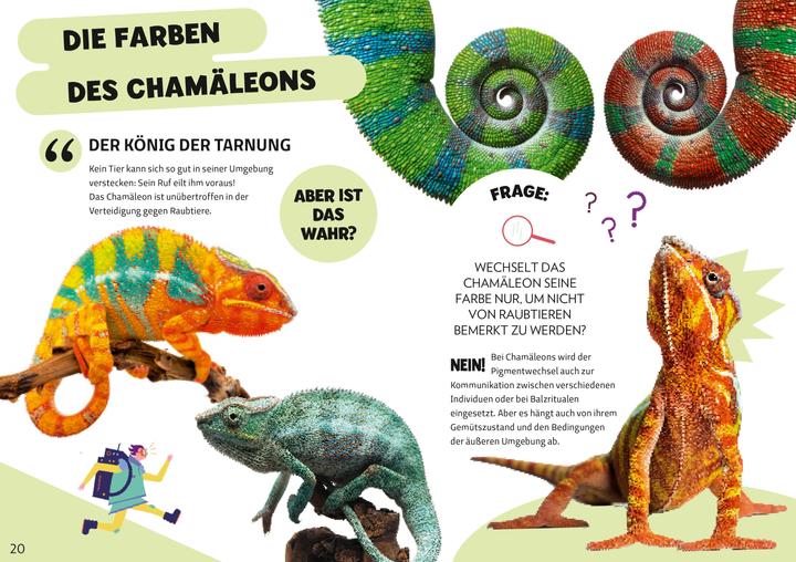 Produktbild National Geographic Die Mythenjäger. Keine Chance für Fake News und Lügenmärchen. Checke dein Wissen in unglaublichen (Deutsch, Silvia Mauri, Massimo Miato, Altea Villa, 2024)