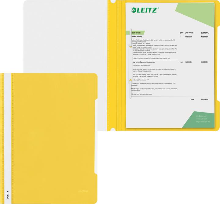 Actual product image Leitz Standard (A4, 1 x)