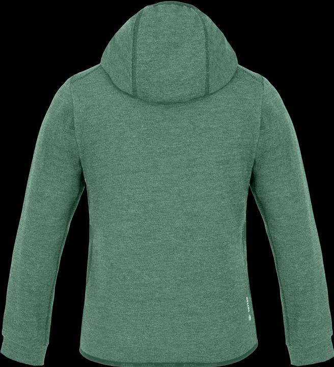Image du produit Salewa Sweat à capuche Simple Life Dry'Ton pour enfants (116)