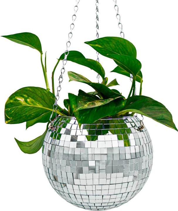 Actual product image Mikamax Funky Disco Planter