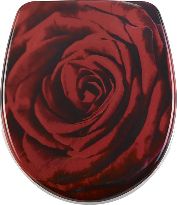 Actual product image Diaqua Rose
