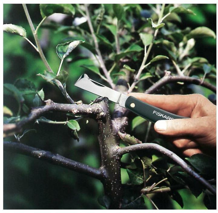 Immagine prodotto Fiskars Coltello da giardino 125900