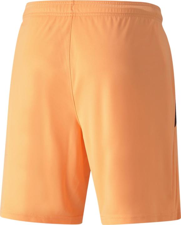 Actual product image Puma teamLIGA shorts (XL)
