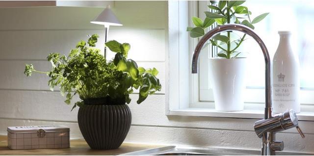 Image du produit Colibri SUNLiTE blanc (LED, 230 V)