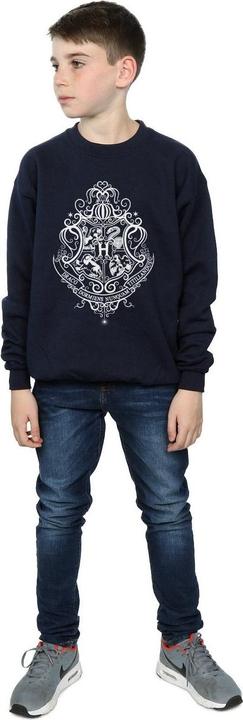 Image du produit - Sweat HOGWARTS DRACO DORMIENS CREST - Garçon (140, 146)