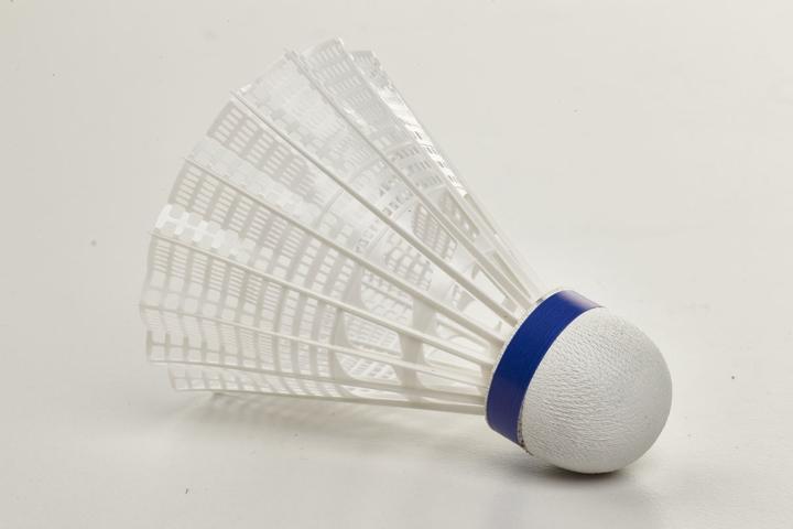 Actual product image Victor tube of 6 badminton shuttlecocks nylon 500