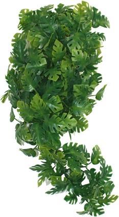 Image du produit Komodo Plant Split Philodendron