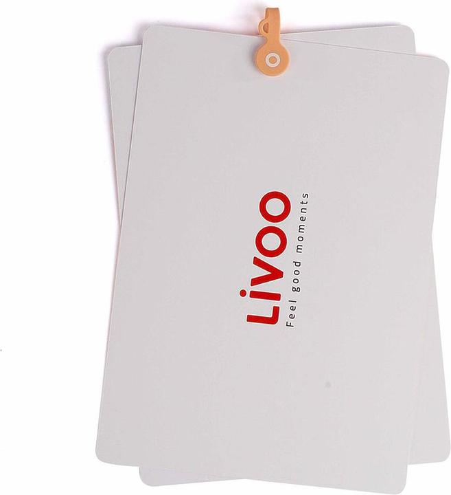 Produktbild Livoo Magnetclip (7 x 2 x 0.5 cm)