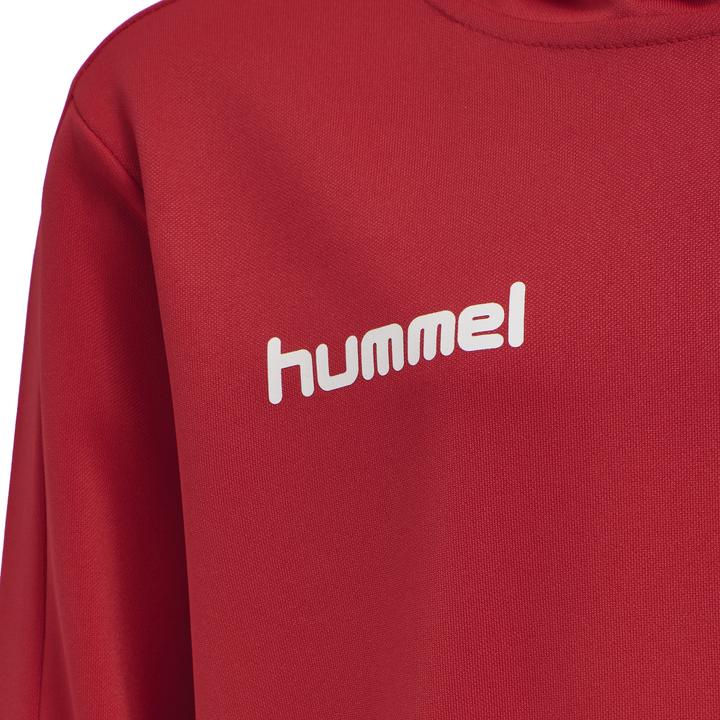 Actual product image hummel Promo Kids Poly Hoodie (164)