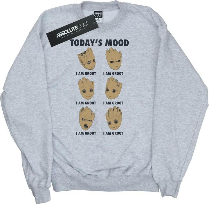 Produktbild Guardians Of The Galaxy Groot Today's Mood Sweatshirt Jungen (140, 146)