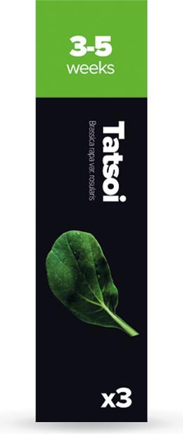 Plantui Tatsoi (Semi di verdura)