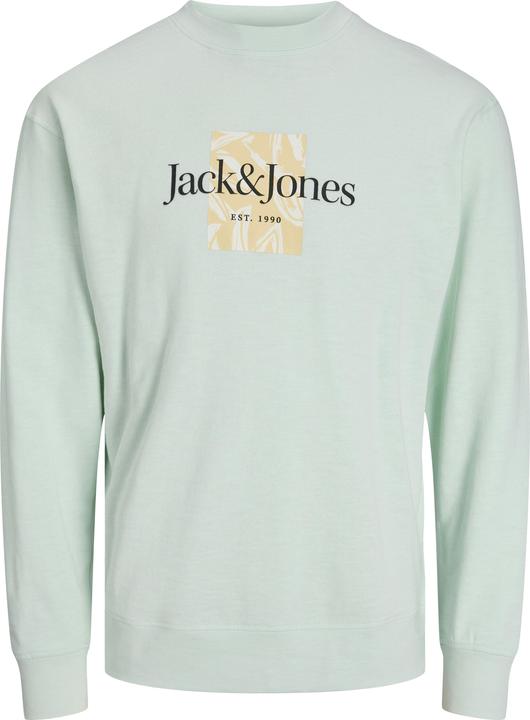 Produktbild Jack & Jones Jorlafayette Branding Sweat Crew Mni (122)