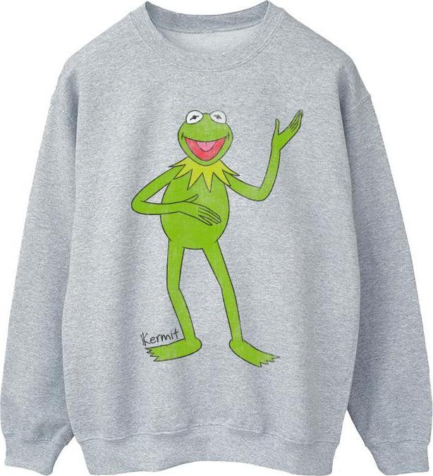 Actual product image Disney Boys The Muppets Kermit Classic Sweatshirt (152, 158)
