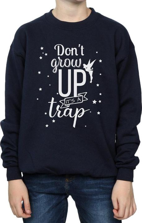 Actual product image Disney Boys Tinker Bell Don't Grow Up Sweatshirt (128)