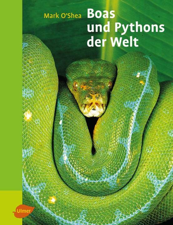 Produktbild Boas und Pythons der Welt (Deutsch, Mark O'Shea, 2008)