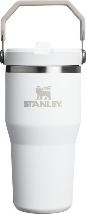 Immagine prodotto Stanley IceFlow Flip Straw 2.0 Tumbler, 600 ml, Frost (0.60 l)
