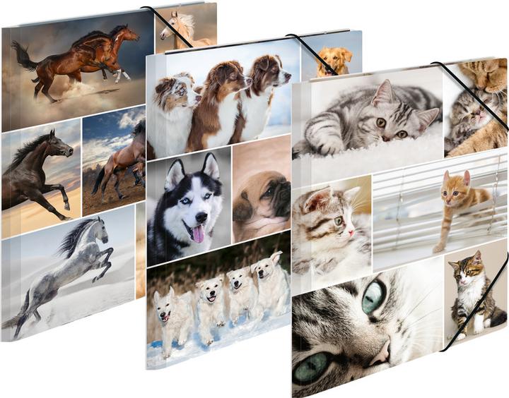 Actual product image HERMA A4 motif folder (A4, 1 x)