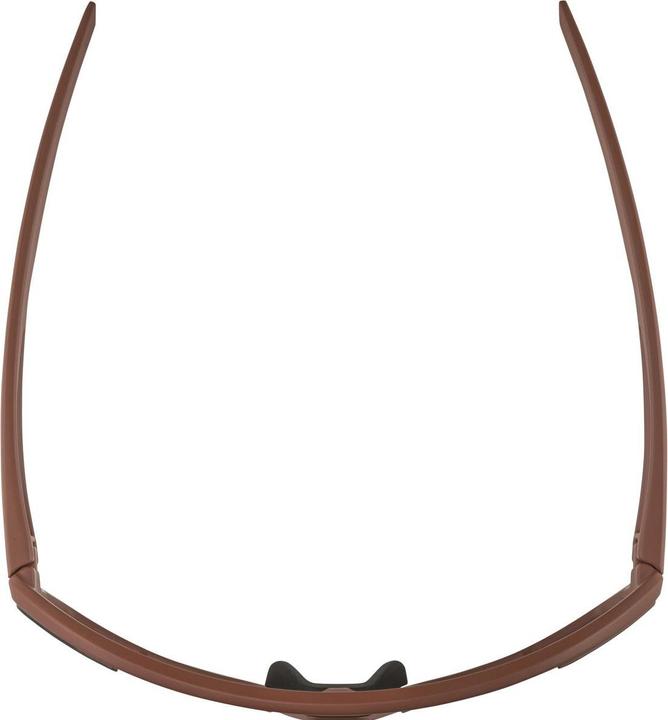 Image du produit ALPINA SPORTS Bonfire Q-Lite lunettes de sport (Marron, Bronze)