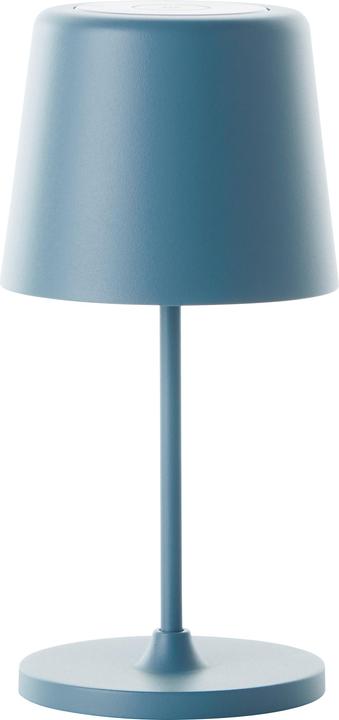 Nordischblau
