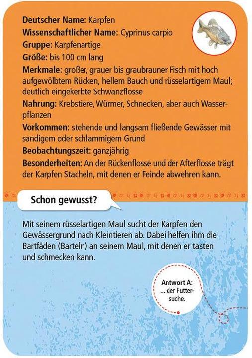 Produktbild Expedition Natur 50 heimische Tiere & Pflanzen an Bach & Teich (Deutsch)