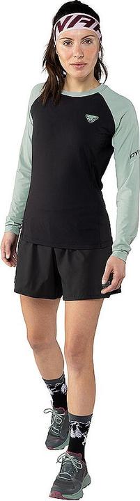 Produktbild Dynafit Alpine Pro Langarmshirt (42, XL)