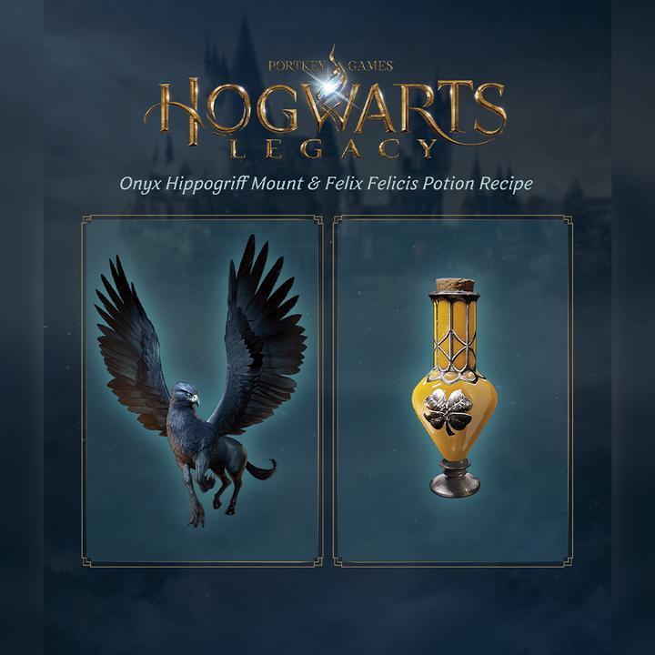 Actual product image WB Hogwarts Legacy (PS5, EN)