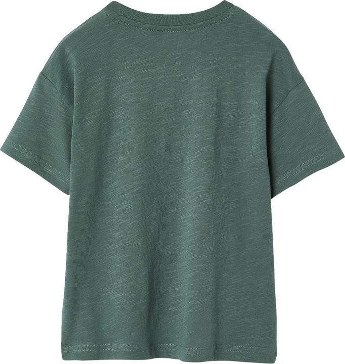 Actual product image Vertbaudet Jungen T-Shirt mit Naturmotiv, Recycling-Baumwolle (110)