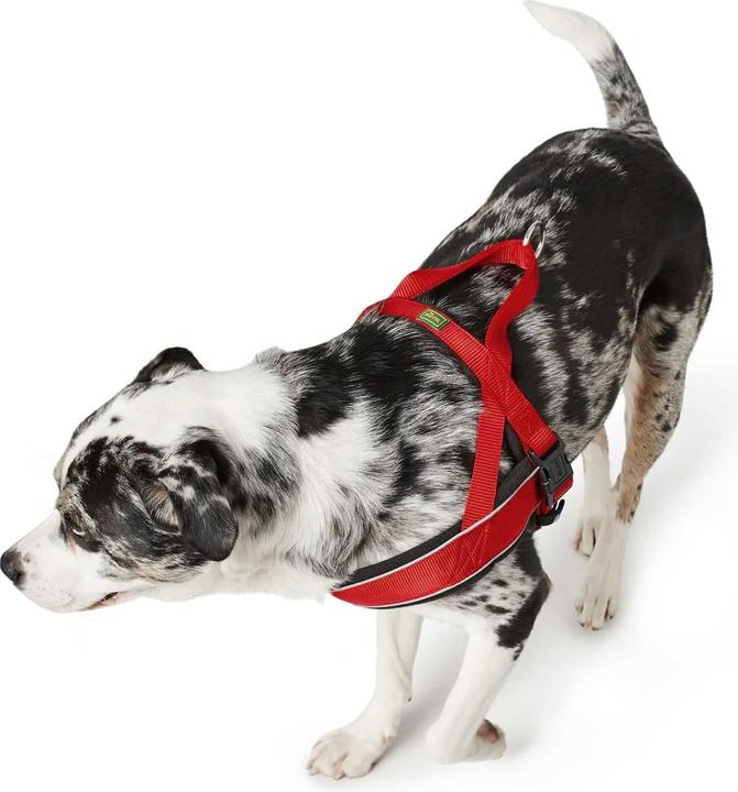Immagine prodotto Hunter Pettorina norvegese da corsa (XL, Cane, Jogging, Moto)