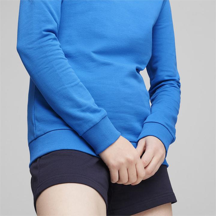 Actual product image Puma teamGOAL Casuals Crew Neck Sweat Wmn (XL)